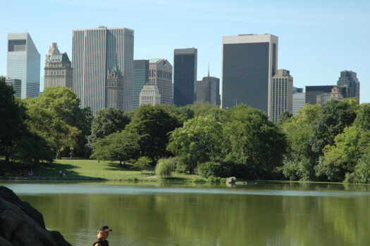 Central Park, New York