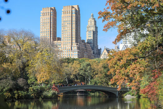 New York central park