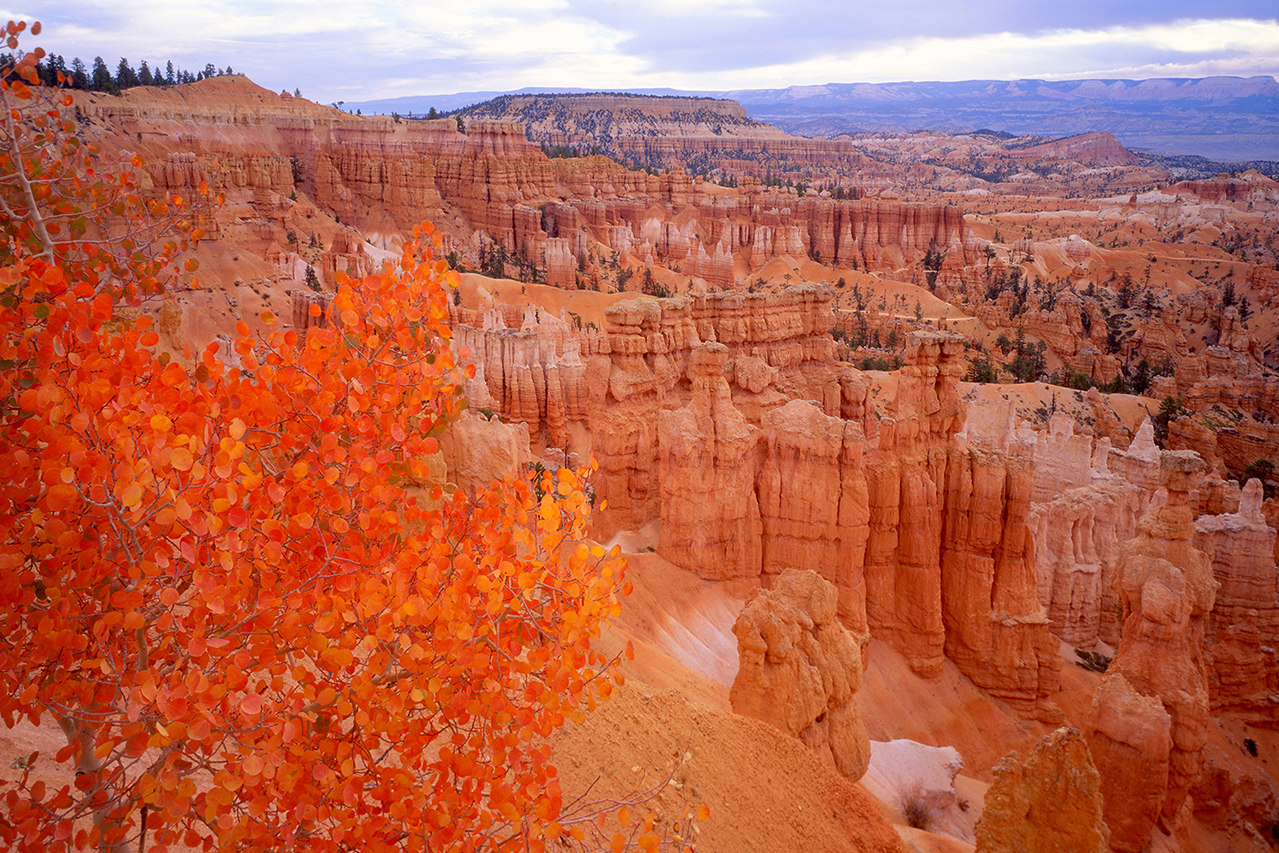 Bryce Canyon, Utah